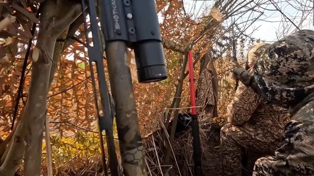 Охота на гуся 2025 г. Псков г. Охотимся с гусиной командо? смотреть онлайн