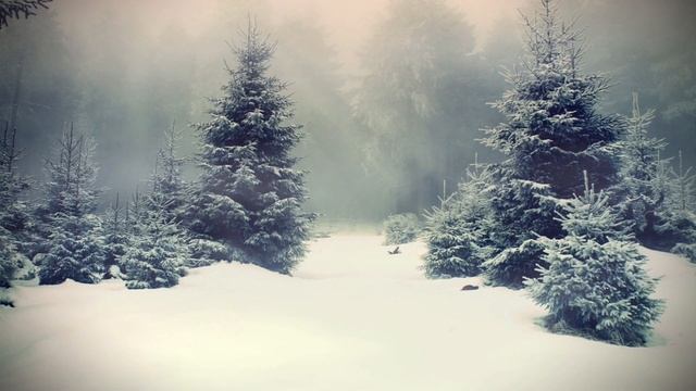 Точный гороскоп на 26 января. Для каждого знака зодиака смотреть онлайн