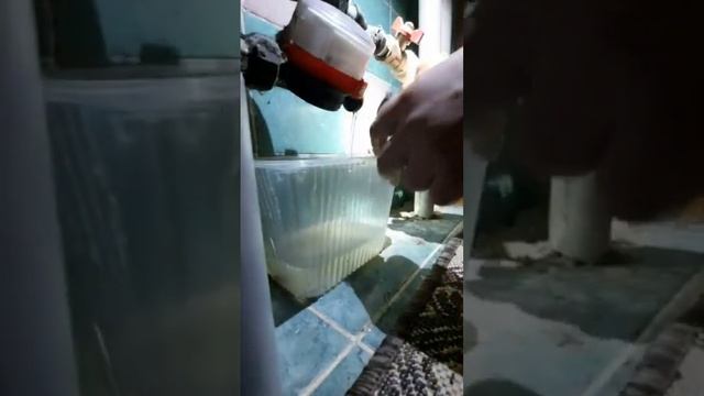 Замена крана на вводе холодной воды ! смотреть онлайн