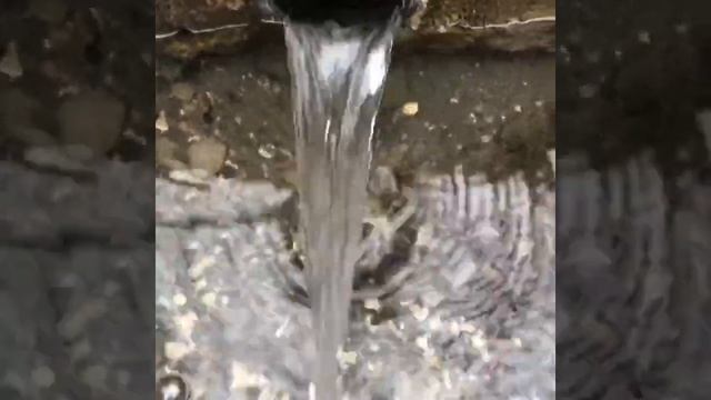 Родник в лесу.Вода. Чечня.