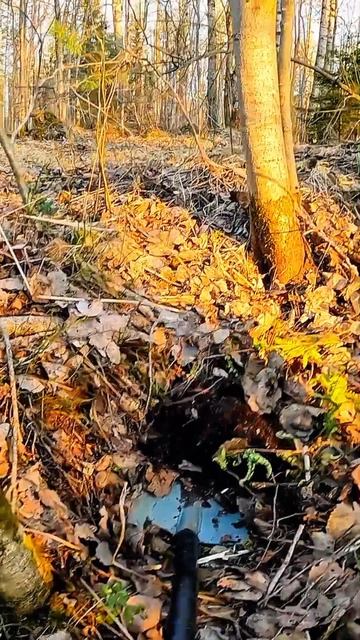 Траки радуют копателя! смотреть онлайн