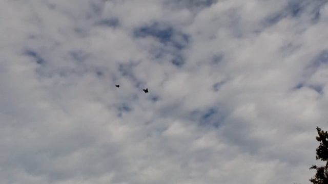 Голуби Лозоватского.Фильм 67. смотреть онлайн