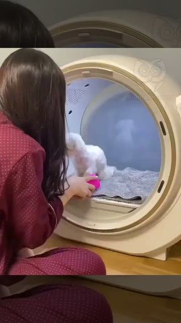 Чудо-техника. Хлоп, и ты уже сухой и пушистый! смотреть онлайн