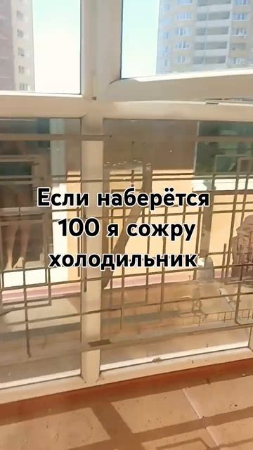 если на этой фигне наберётся 100 лайков Я сожру холодил? смотреть онлайн