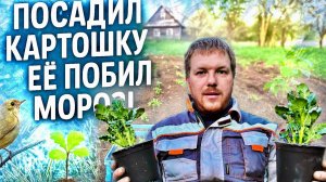 ❄️ Холодный май 2025. Огород🌱 мечты под угрозой 😱 Судьба весеннего урожая на хуторе #хочувдеревню
