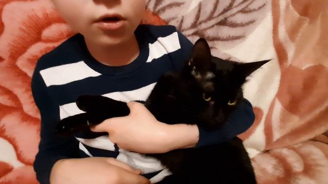 2_5212986769921804901.mp4