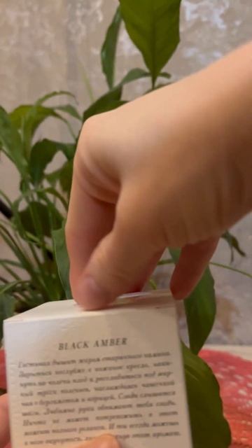 Хотите расслабиться? Тогда вам в помощь Ароматический смотреть онлайн