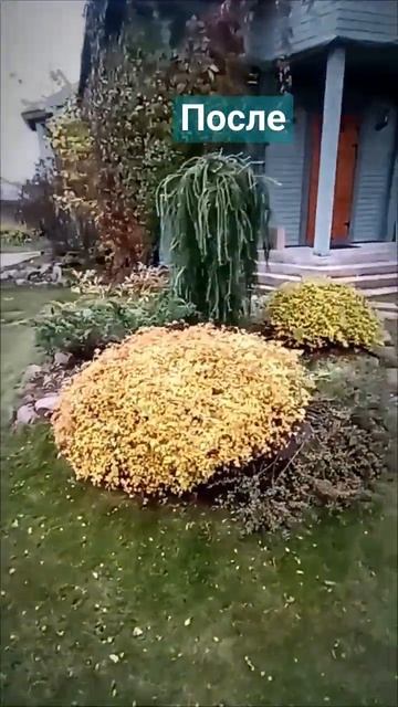 Осенний уход за цветником. Прополка, стрижка, уборка п? смотреть онлайн