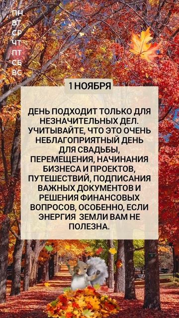 1ноября рекомендации дня | Китайский календарь #астрол смотреть онлайн