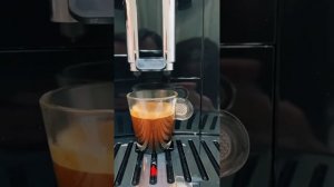 Обзор Delonghi Magnífica Evo