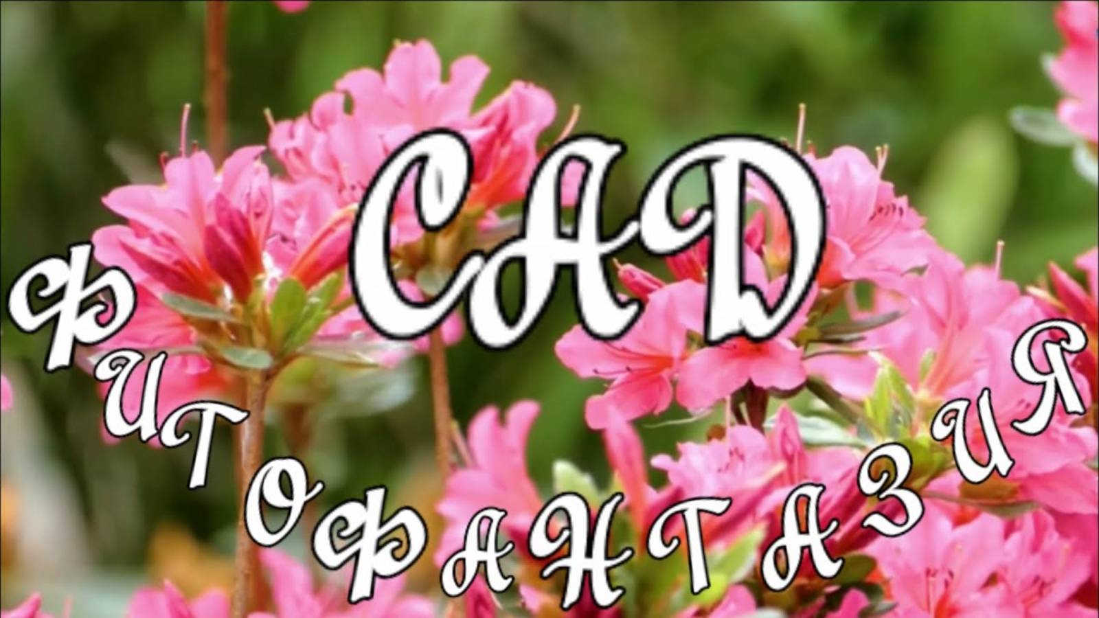 Райский уголок в Сочи Сад Фитофантазия смотреть онлайн