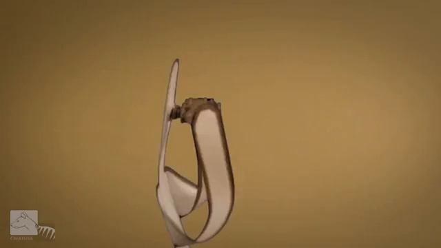 Кот воюет с бумажной армией  .mp4