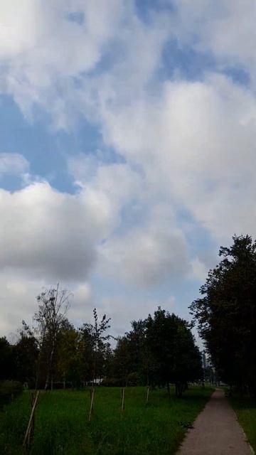 Погода из Санкт-Петербурга #санктпетербург #погода #би смотреть онлайн