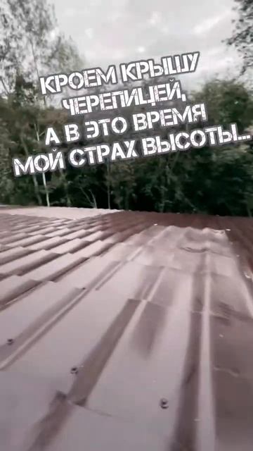 Акрофобия, или боязнь высоты. Есть такие?)😄 смотреть онлайн