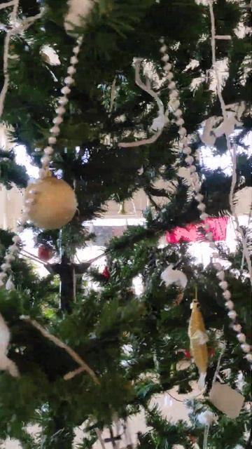 V hotel Фуджейра 10 декабря 2024 смотреть онлайн