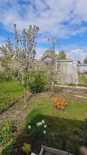 Дача Городские сады.mp4