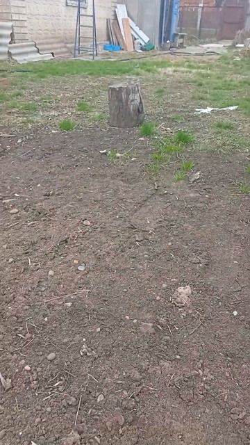 Чистка чайника смотреть онлайн