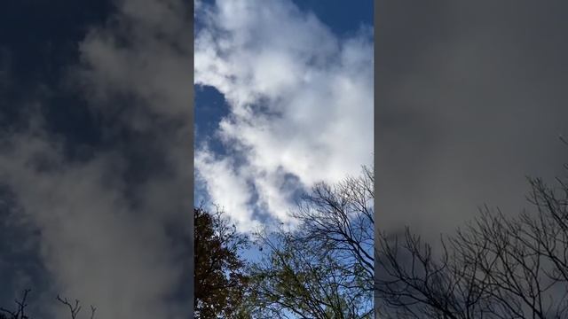 Листопад. Ноябрь. 2020. Калининград. ASMR. Полное погружение в осень. смотреть онлайн