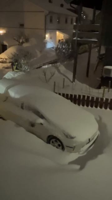 Нас завалило снегом 😱 #норвегия #снегопад #снежныйхао смотреть онлайн