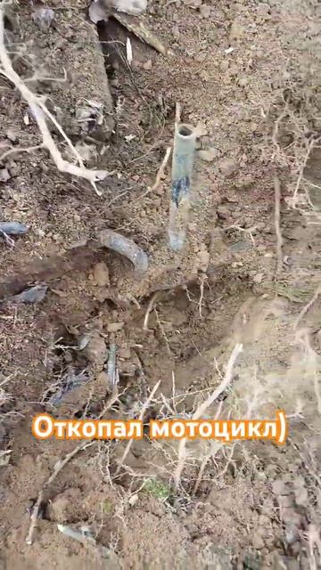 Откопал мотоцикл #коп #metaldetecting #металлоискатель смотреть онлайн