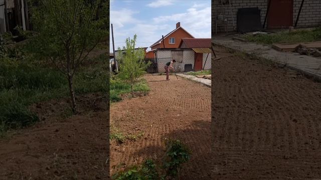 Как посеять газон с нуля