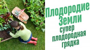 Плодородная грядка.