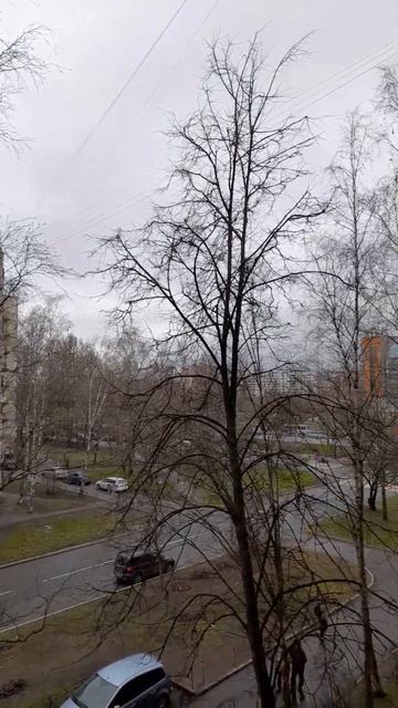 погода из Санкт-Петербурга #погода #санктпетербург смотреть онлайн