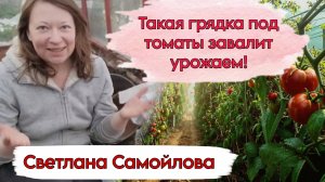 ГОТОВЬТЕ ГРЯДКУ ПОД ТОМАТЫ ТОЛЬКО ТАК!