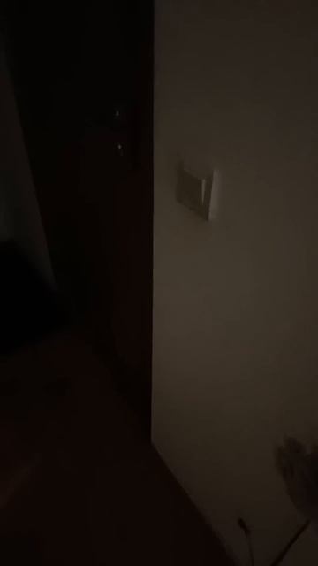 Как же они иногда бесят #шортс #юмор #8марта #женщины смотреть онлайн