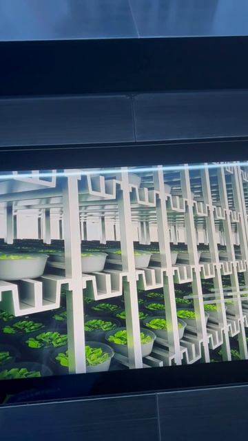 Уже и людей не надо, когда есть роботы, которые готовят смотреть онлайн