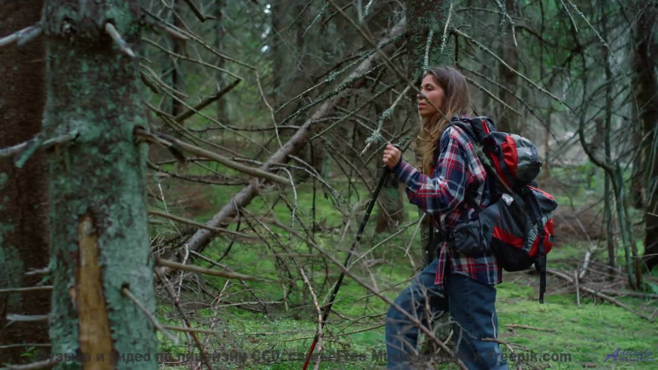 Сердце отдыхает под такие виды и ритмы - No Jigsaw -- Eyelids -- Live At Monty Hall, 11152017