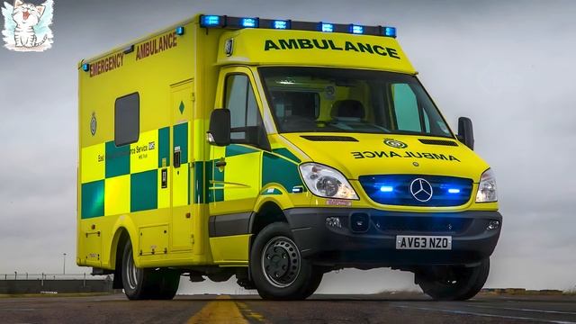 Учим служебные машинки. Обучение и викторина смотреть онлайн