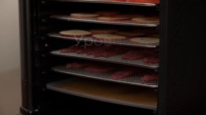 Обзор дегидратора REDMOND FD1104