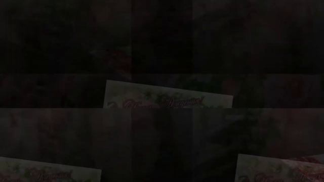 Креативное поздравление с днем рождения от команды ЗЕВС Наташе Деркач