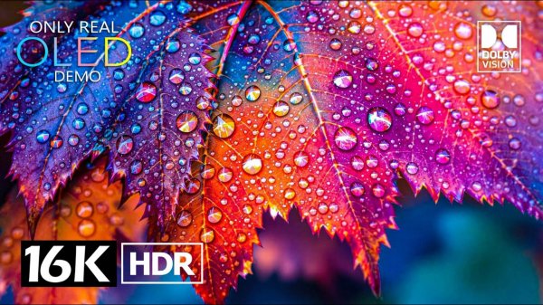 ЯРКОЕ 16K видео ULTRA HD HDR Dolby Vision – 8K видео ULTRA HD