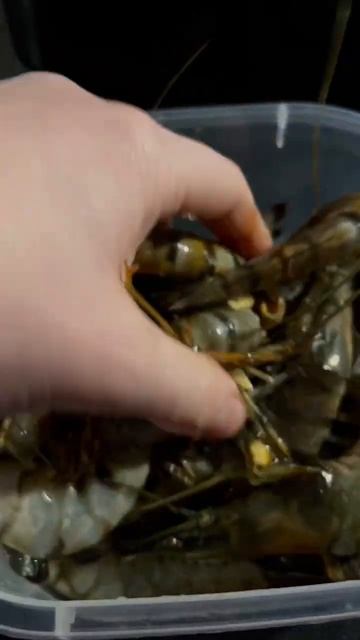 Сочные креветки. Быстро и просто #cooking #seafood #готовимдом смотреть онлайн