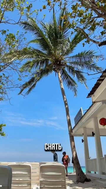 День 13/60: прибавка в весе и райские острова #пп #ппрецеп смотреть онлайн