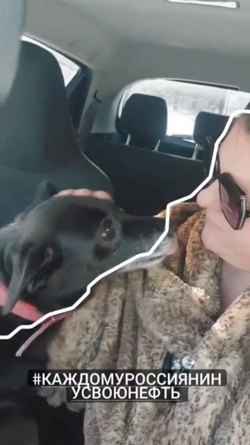 Счастье есть! Из архивов #shorts #собака #my #dog #наташа #архи смотреть онлайн