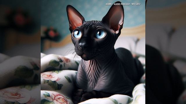 ASMR - Время уборки. Звук работы пылесоса смотреть онлайн