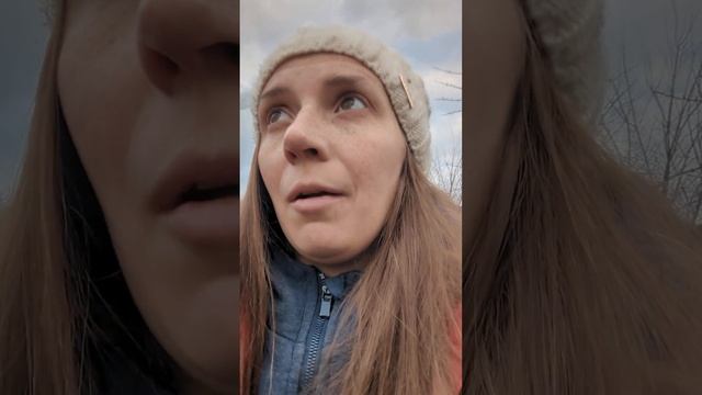 пес жадно ест? очень быстро загладтывает еду? смотреть онлайн