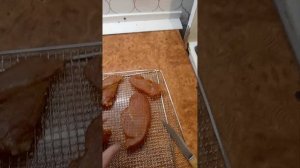 куриное филе в дегидраторе