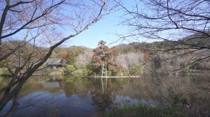京都 苔寺と侘び寂びの庭園15選｜15 Moss and Wabi -Sabi Gardens in Kyoto