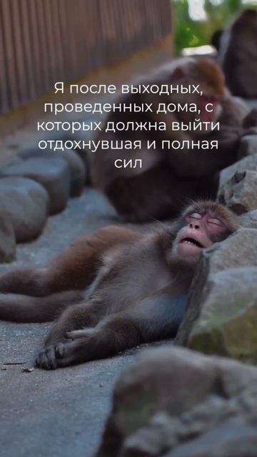 Понедельник поле майских праздников... смотреть онлайн