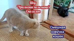 СМЕШНАЯ ОЗВУЧКА КОШЕК. (Шоу «Уральские пельмени» Спа- салон)
