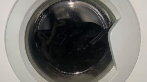 Стирка куртки на indesit: Программа 5 60 800об/мин