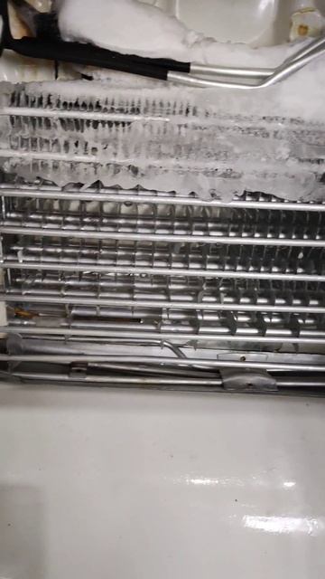 Холодильник Samsung кажись RL39 10+, не холодит, утечка#ставр? смотреть онлайн