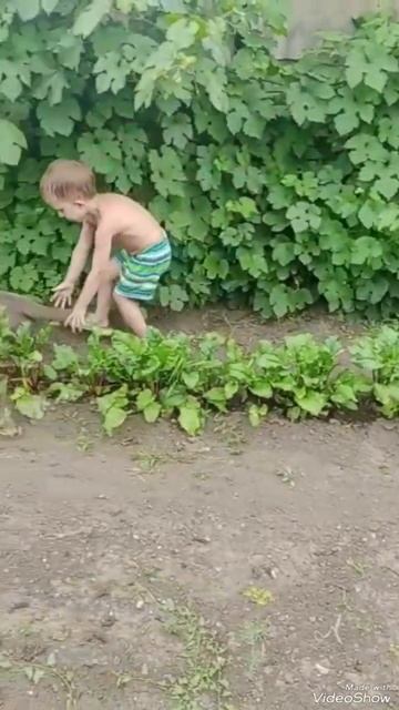 Костя и кот. Озвучка. Юмор. Приколы. Kostya and cat. Crow and doves. Voice acting. Humor. Fun. смотреть онлайн