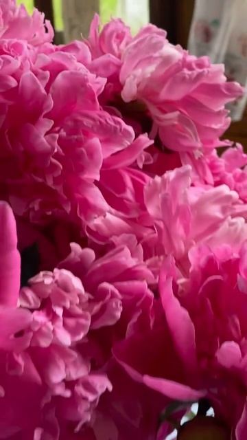 ПИОНЫ💕 смотреть онлайн