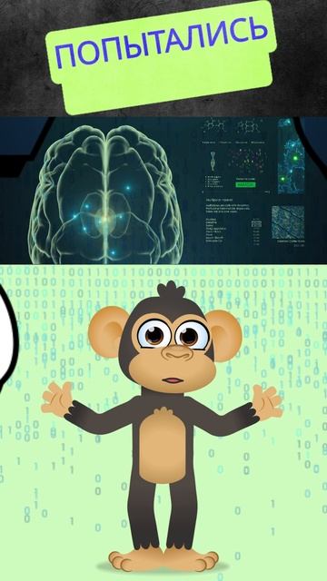 Что пошло не так? Пересадка мозга обезьяны.