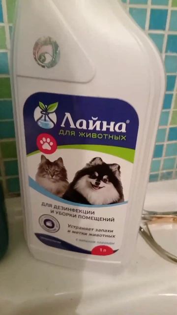 Что делать если пылесос пропитался псиной и портит во? смотреть онлайн